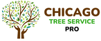 Chicago Tree Service Pro